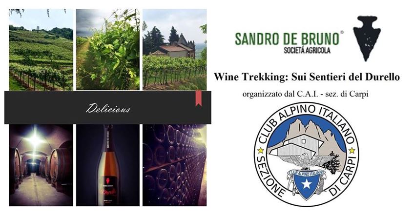 Wine Trekking: Sui Sentieri del Durello